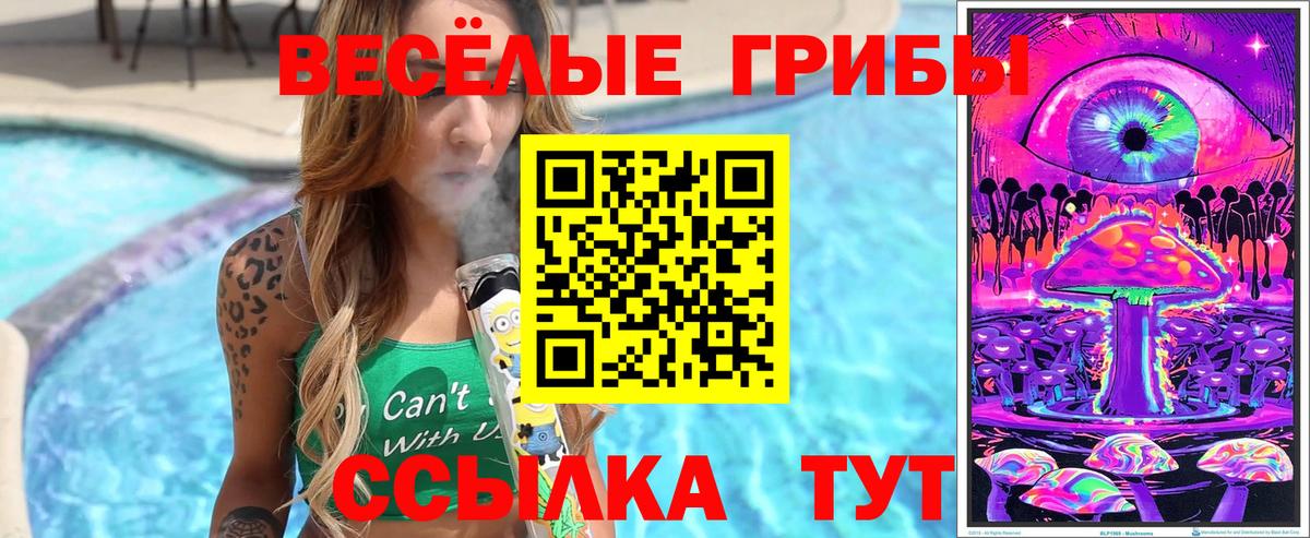 Галлюциногенные грибы ЛСД Пушкино